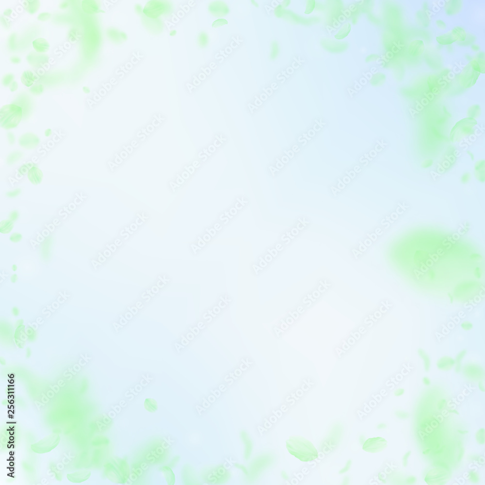 Green flower petals falling down. Fine romantic fl Green flower petals falling down. Fine romantic fl
