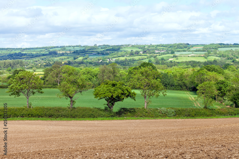 English countryside with ploughed farming field, hedgerow, trees, green pastures and an English village on a hill, on a sunny summer day .