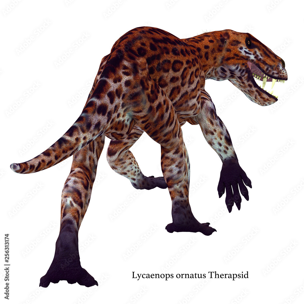 Obraz premium Lycaenops Cat Tail with Font - Lycaenops was a carnivorous cat-like dinosaur that lived in South Africa during the Permian Period.