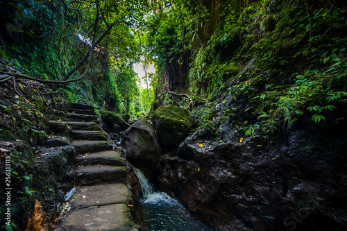 Indonesia, Bali, stairs in the sacred Monkey forest Ubud
