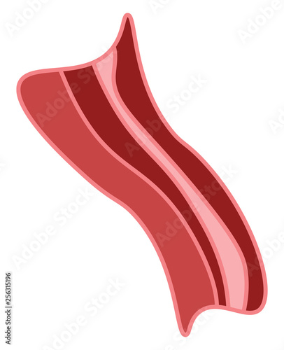 A pink bacon, vector color illustration.