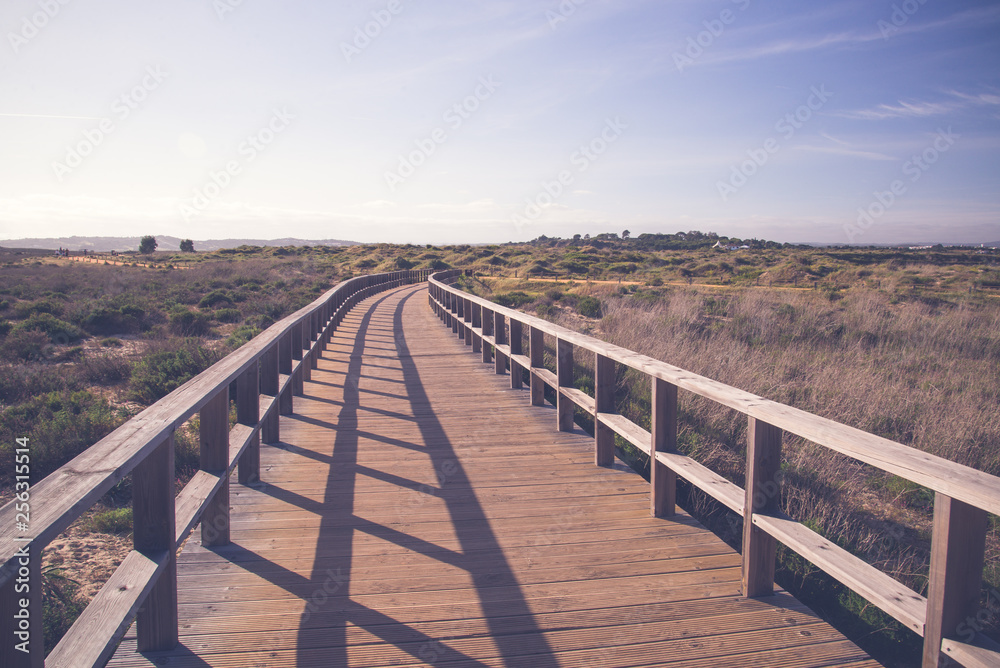 Fototapeta premium Beach boardwalk
