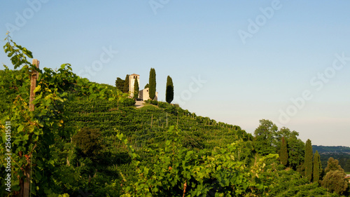 View from the Prosecco wine hill – Saint Vigilio Church, Conegliano Valdobbiadene