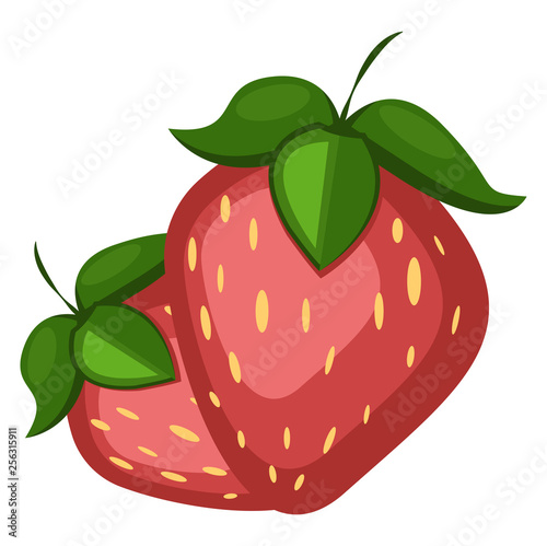 Two Strawberries, vector color illustration.