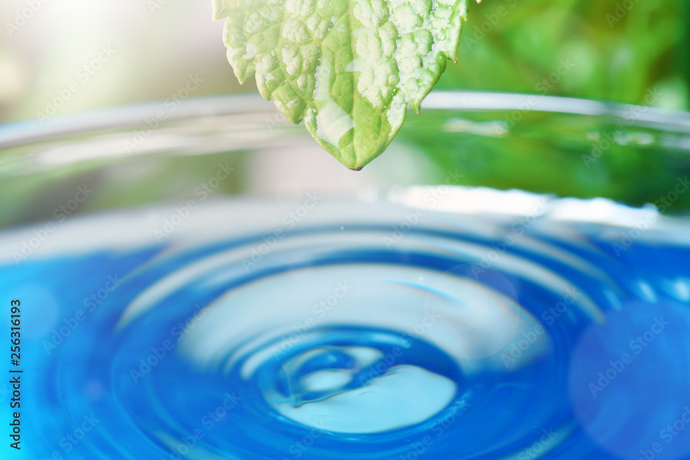 Beautiful green leaf with water drop on blue background, closeup. Space for text - obrazy, fototapety, plakaty 