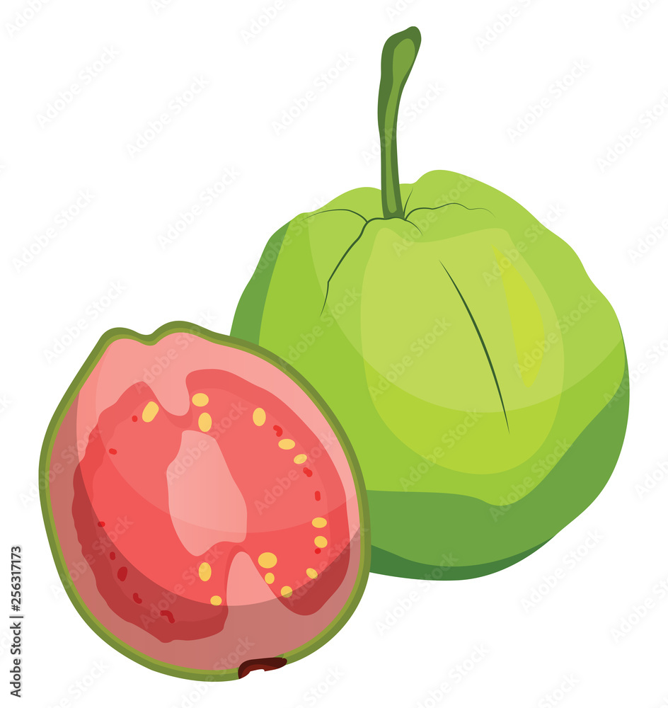 Guava Fruit Clipart