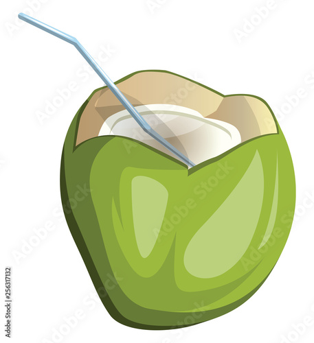 Coconut cut up with a straw cartoon fruit vector illustration on white background.