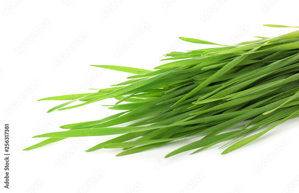 Green organic wheat grass on white background Green organic wheat grass on white background