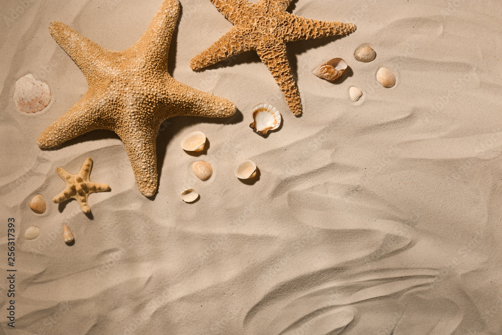 Starfishes and seashells on beach sand, top view. Space for text Starfishes and seashells on beach sand, top view. Space for text