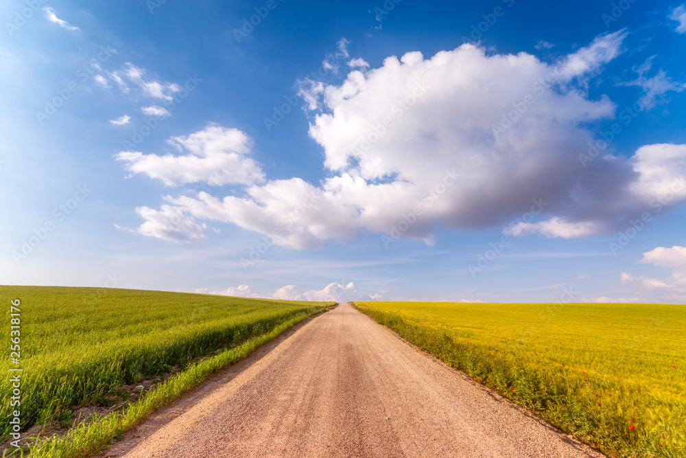 Spain, Andalucia, unnamed road leading through fields of crops Spain, Andalucia, unnamed road leading through fields of crops