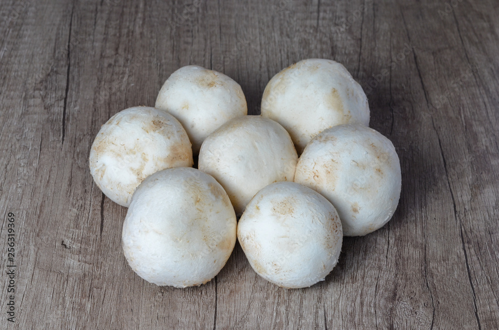 Close up    of  a bunch  of  raw champignon mushrooms on  table .