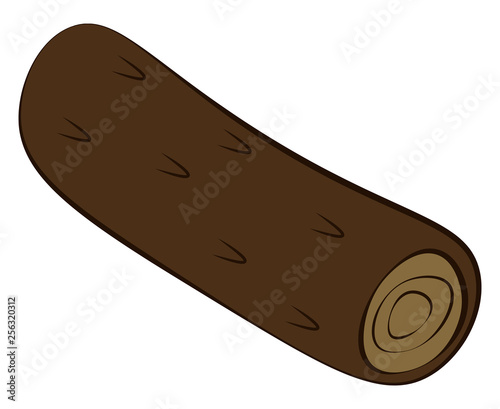 Wood vector or color illustration
