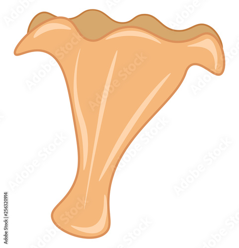 A flower shaped mushroom vector or color illustration