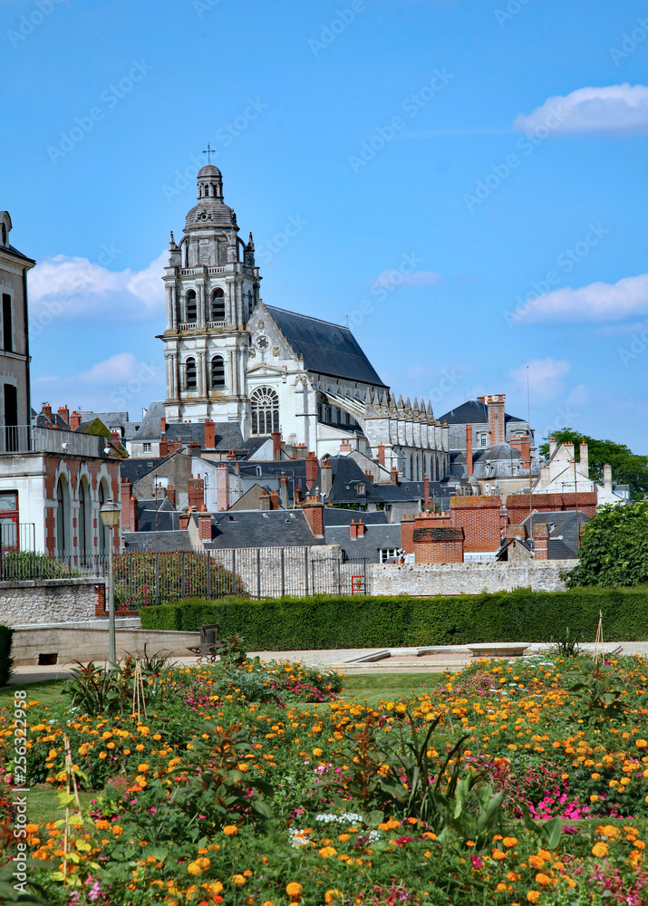 Blois, France, view of flower garden and cathedral