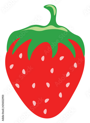 A strawberry vector or color illustration