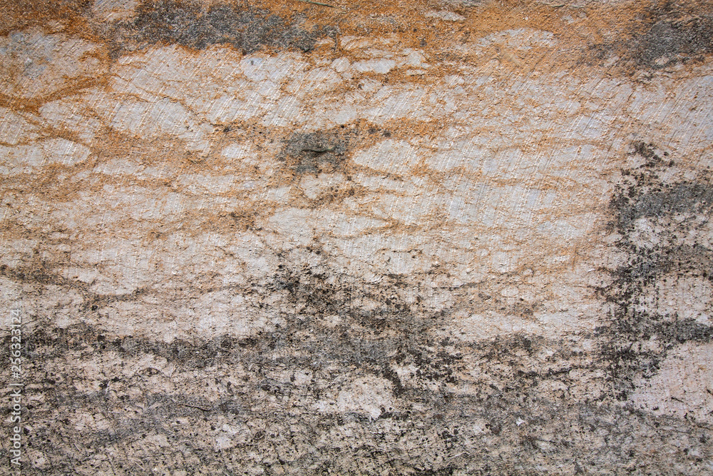 Obraz premium Cement or concrete texture 