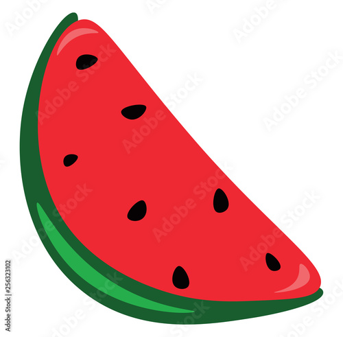 A slice of watermelon vector or color illustration