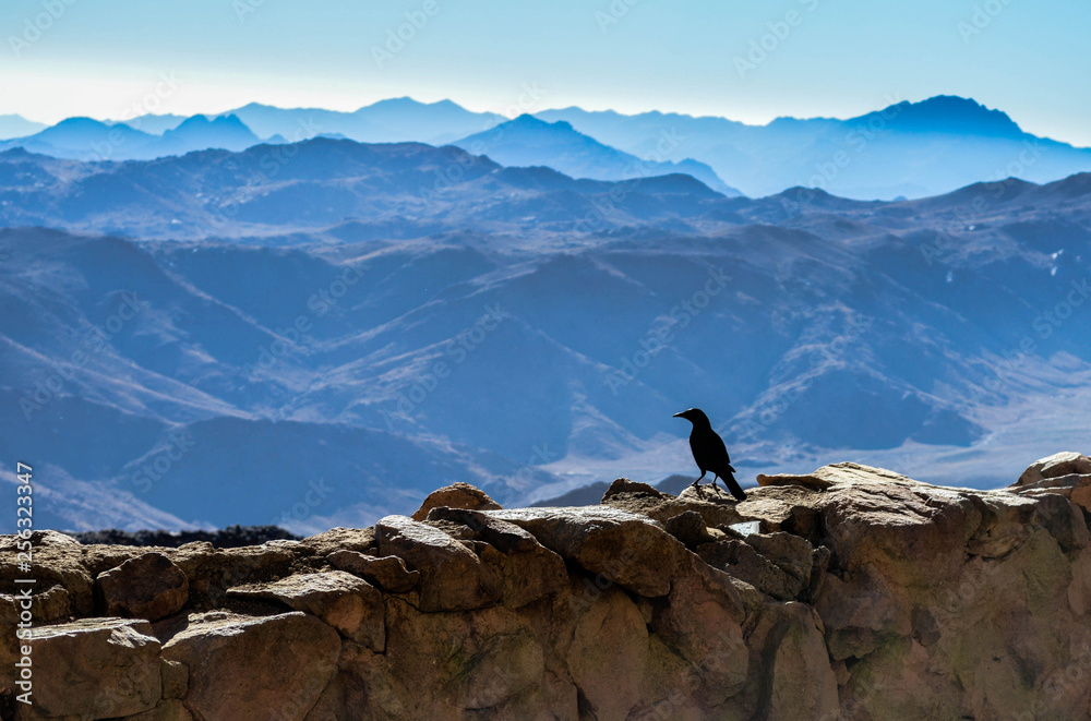 nature, landscape, outdoor, sky, mountain, nile nature, landscape, outdoor, sky, mountain, nile