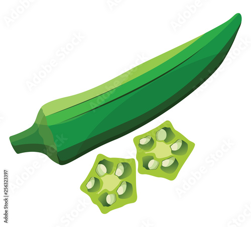 Green okra with light green okra slices vector illustration of vegetables on white background.