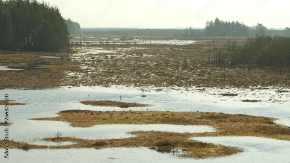 Panning over marshland at midday on a tranquil Spring day in the wilderness Panning over marshland at midday on a tranquil Spring day in the wilderness