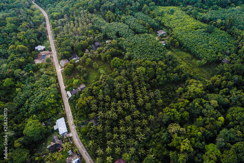 Aerial view tropical green forest with road on island