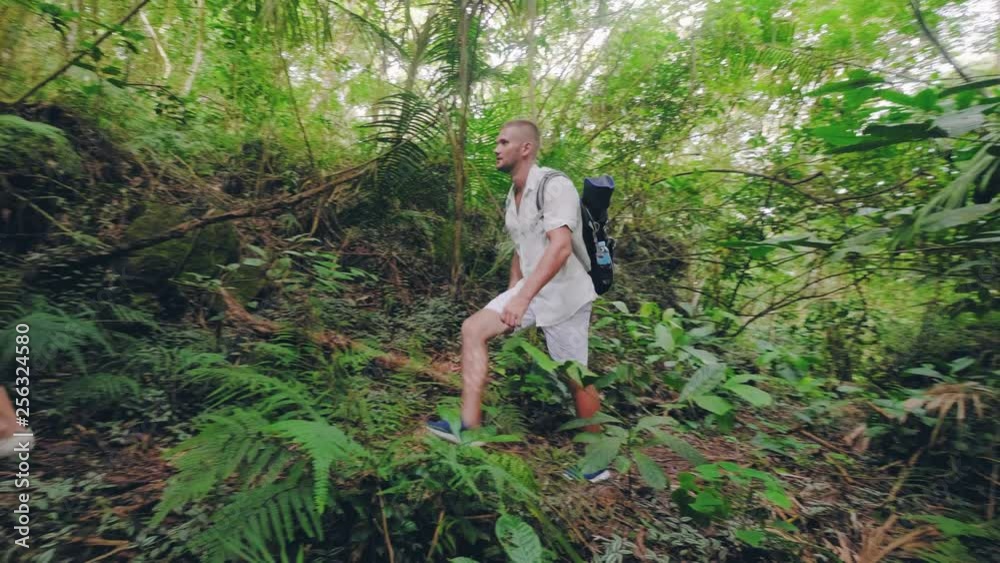 Young woman and man walking on path in tropical jungle forest at summer day. Happy couple trekking together in rainforest on green trees and exotic plants landscape. Young woman and man walking on path in tropical jungle forest at summer day. Happy couple trekking together in rainforest on green trees and exotic plants landscape.