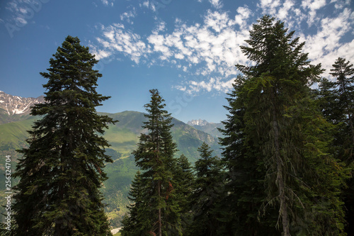 Mountains and nature of the North Caucasus  beautiful view of the mountain gorge