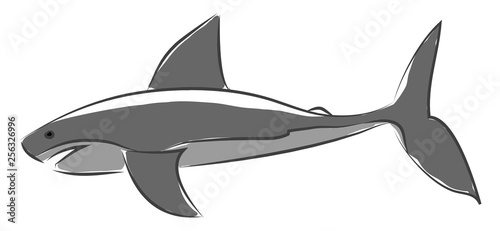 A blue shark in jumping out of water vector or color illustration