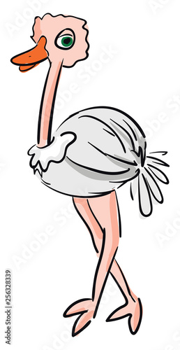 Vector illustration of a cute baby ostrich with green eyes white background photo