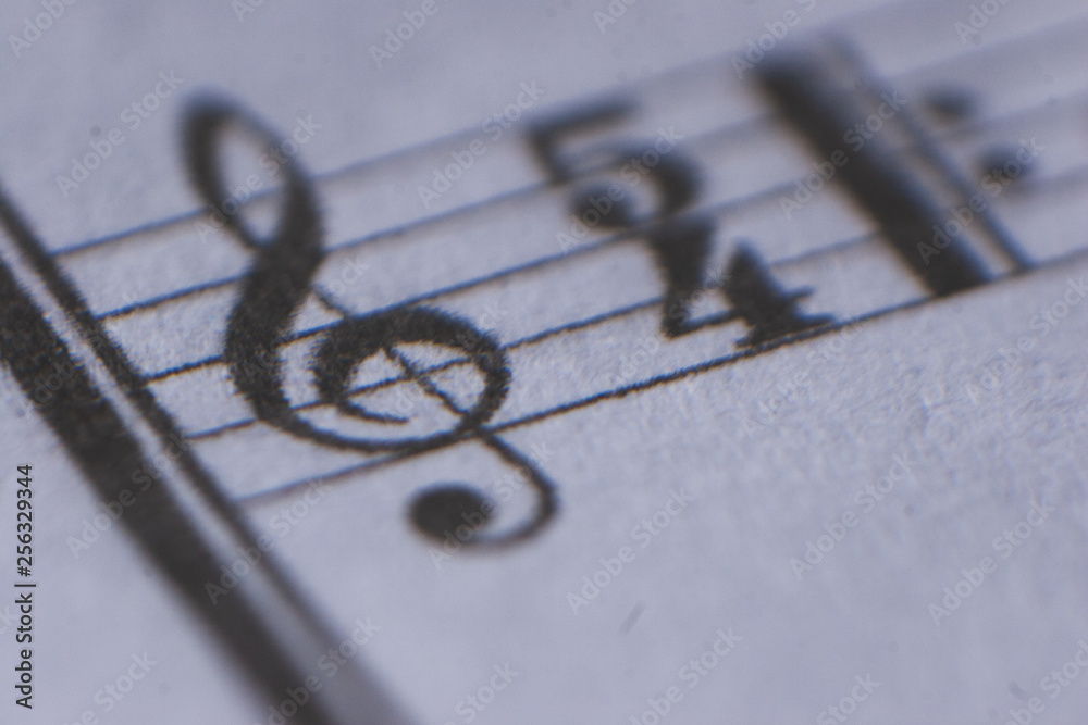 Fototapeta Musical notes