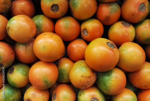Naranjilla or lulo exotic, tropical and citrus fruit. Solanum quitoense. photo