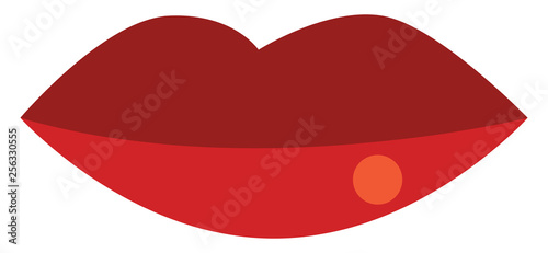 Lip in red lipstick vector or color illustration