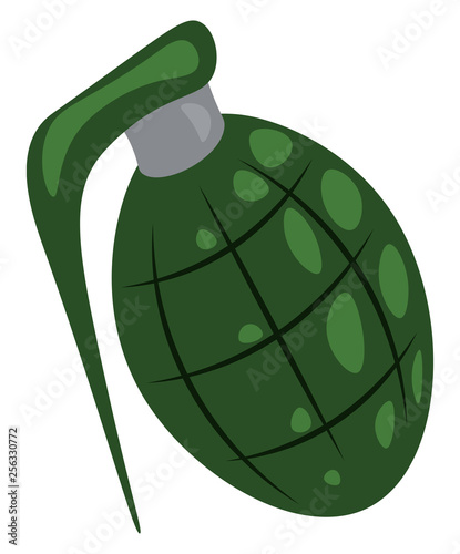 Army hand grenade vector or color illustration