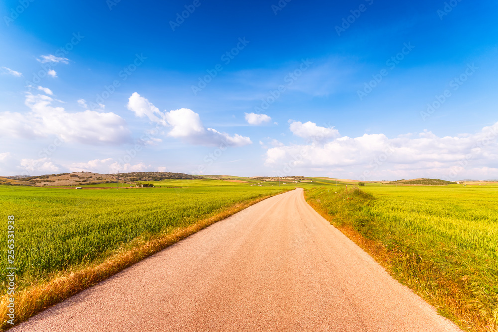 Spain, Andalucia, unnamed road leading through fields of crops Spain, Andalucia, unnamed road leading through fields of crops