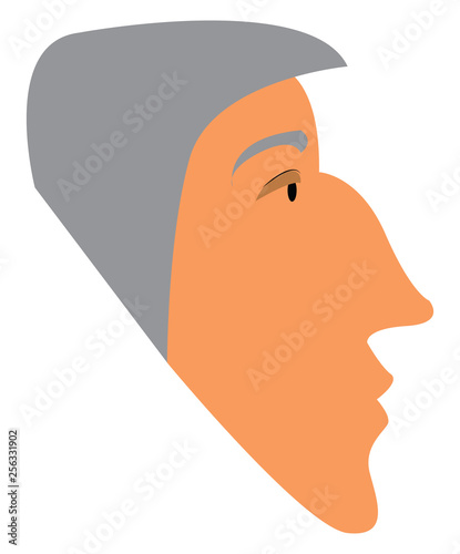 Portrait of old man with grey hair vector or color illustration