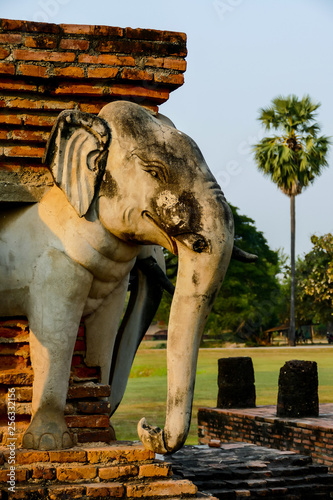 Photography statue of elephant, digital photo picture as a background