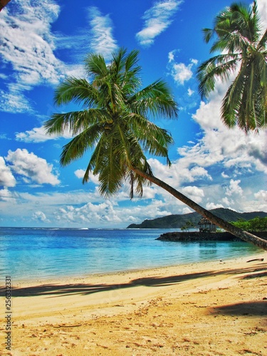 Samoa Beaches and Palm Trees