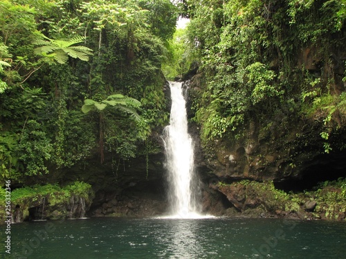 Tropical Island Waterfall and Jungle