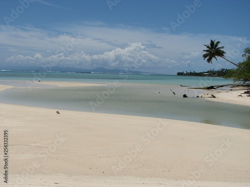 Samoa Beaches and Palm Trees