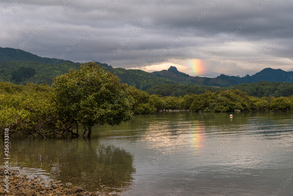 Partial rainbow over mountains in the background with mangroves growing in the foreground. Dark, cloudy sky close to sunset. Coromandel, New Zealand.