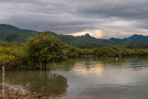 Partial rainbow over mountains in the background with mangroves growing in the foreground. Dark, cloudy sky close to sunset. Coromandel, New Zealand.