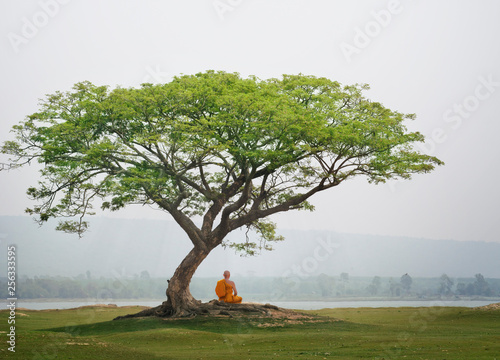 Buddha monk practice meditation under the tree