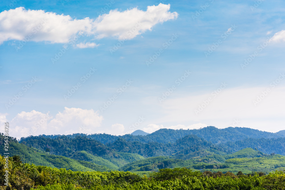 landscape of green hill mountain view at Surat Thani province, Thailand