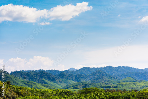 landscape of green hill mountain view at Surat Thani province, Thailand