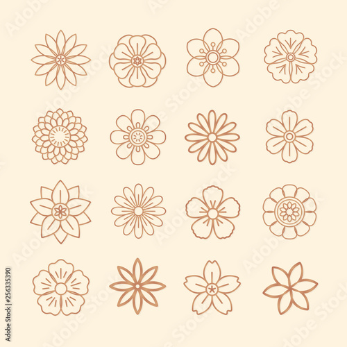 Floral pattern and floral icons