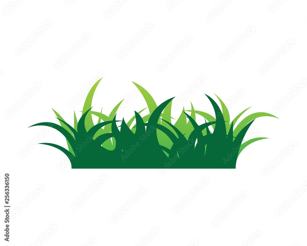 Fototapeta premium grass vector illustration template