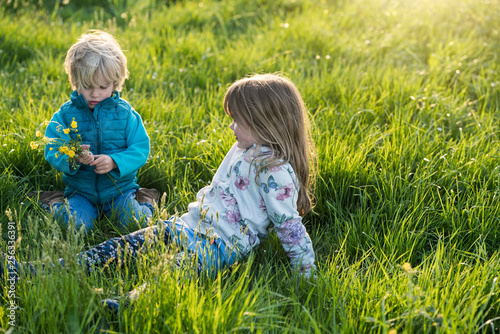 Two children sitting in meadow with dandelions and picking flowers