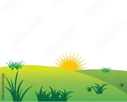 grass field summer vector illustration template