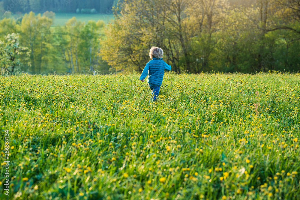 Boy running over a meadow with dandelions Boy running over a meadow with dandelions