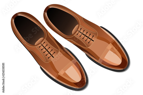 Modern fashionable classic brown men shoes top view